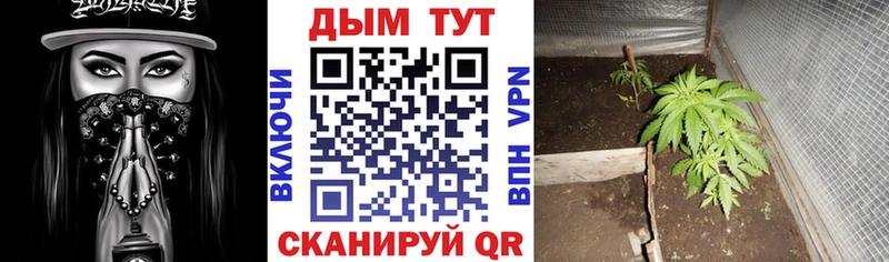 наркошоп  Спас-Деменск  Канабис White Widow 